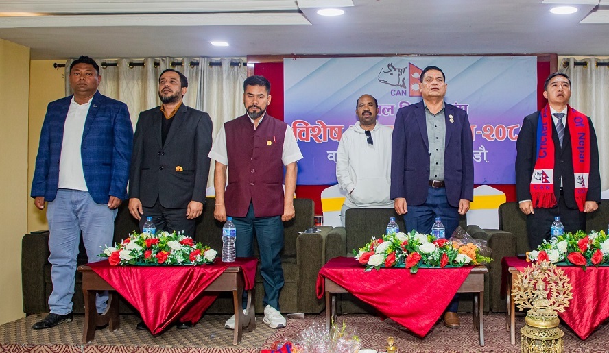 फाइल तस्बिर।